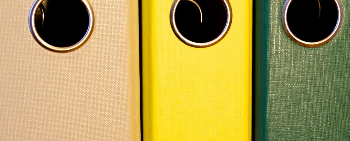 Artigo Fevereiro Artigo Fevereiro